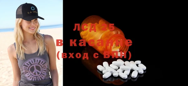 стаф Кущёвская