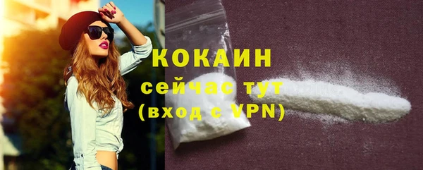 стаф Кущёвская
